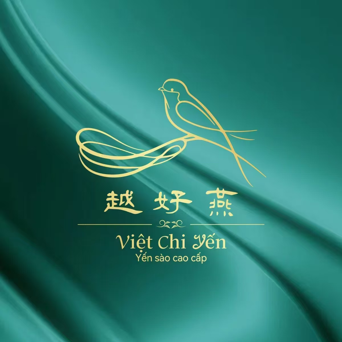 濟(jì)南金視訊科技有限公司